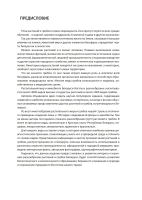 100 растений и грибов Беларуси 